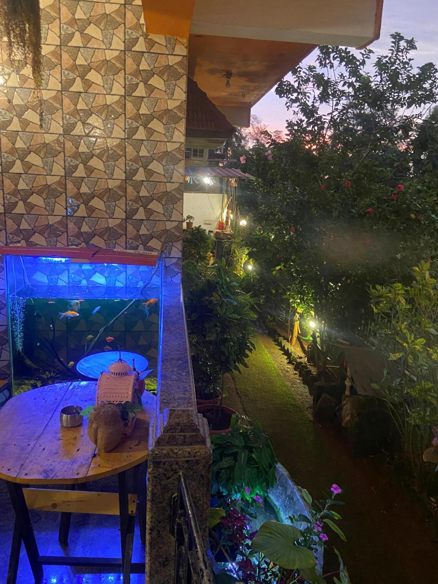 Last Minute Trip Hostel Morjim Dış mekan fotoğraf